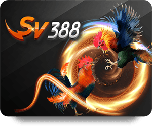 LSM99 เปิดประตูสู่การพนันที่ดีกว่า UFABET